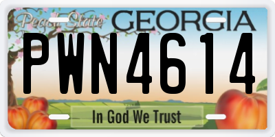 GA license plate PWN4614