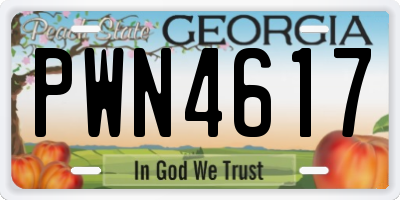 GA license plate PWN4617