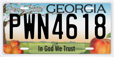 GA license plate PWN4618