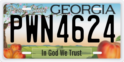 GA license plate PWN4624
