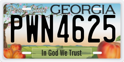 GA license plate PWN4625
