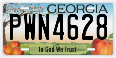 GA license plate PWN4628