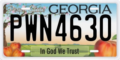 GA license plate PWN4630