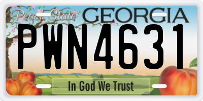 GA license plate PWN4631
