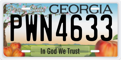 GA license plate PWN4633