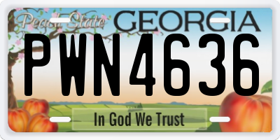 GA license plate PWN4636