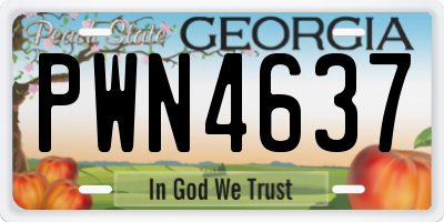 GA license plate PWN4637