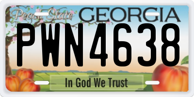 GA license plate PWN4638