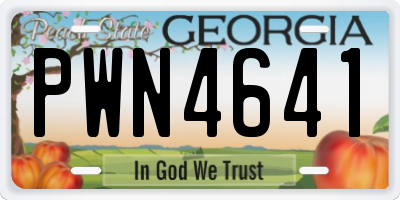 GA license plate PWN4641
