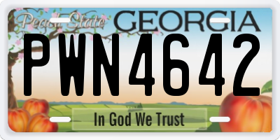 GA license plate PWN4642