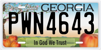 GA license plate PWN4643