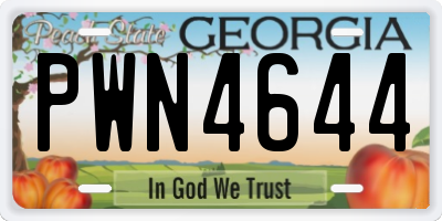 GA license plate PWN4644