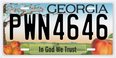 GA license plate PWN4646