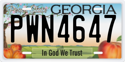 GA license plate PWN4647