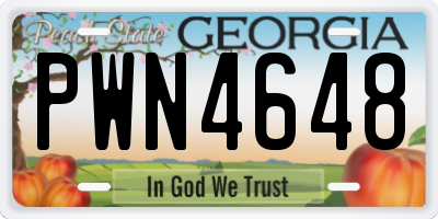 GA license plate PWN4648