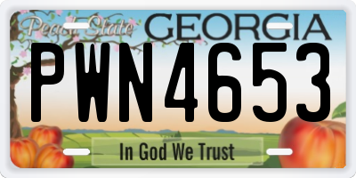 GA license plate PWN4653