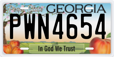 GA license plate PWN4654