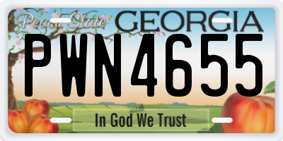 GA license plate PWN4655