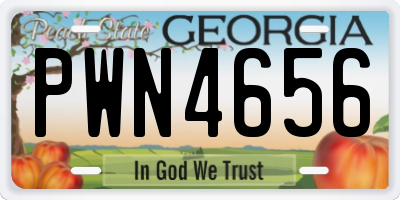 GA license plate PWN4656