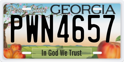 GA license plate PWN4657