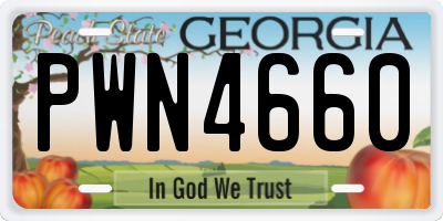 GA license plate PWN4660