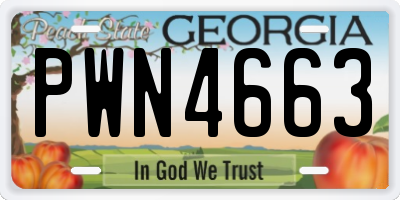 GA license plate PWN4663