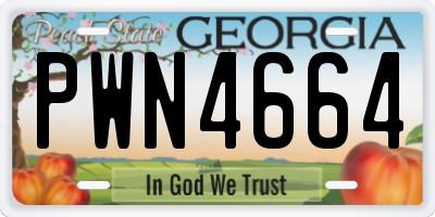 GA license plate PWN4664