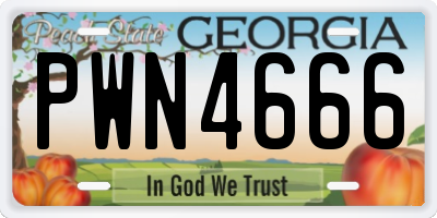 GA license plate PWN4666