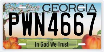 GA license plate PWN4667