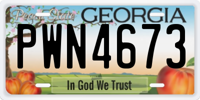 GA license plate PWN4673
