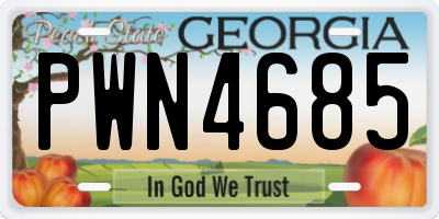 GA license plate PWN4685