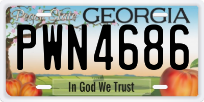 GA license plate PWN4686