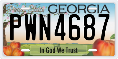 GA license plate PWN4687