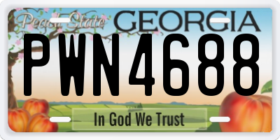 GA license plate PWN4688