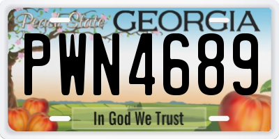 GA license plate PWN4689