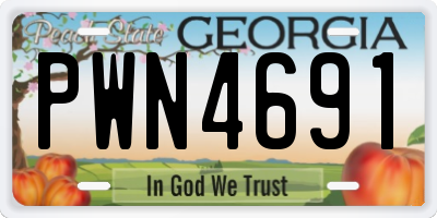 GA license plate PWN4691
