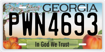 GA license plate PWN4693