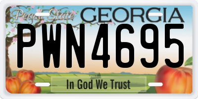 GA license plate PWN4695