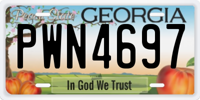 GA license plate PWN4697