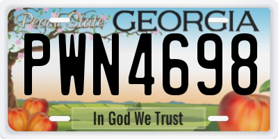 GA license plate PWN4698