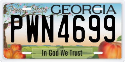 GA license plate PWN4699