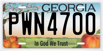 GA license plate PWN4700