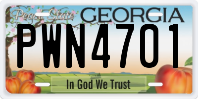 GA license plate PWN4701