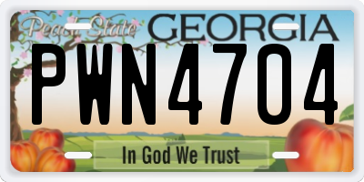 GA license plate PWN4704