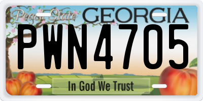 GA license plate PWN4705