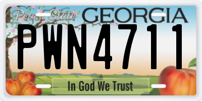 GA license plate PWN4711