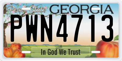 GA license plate PWN4713