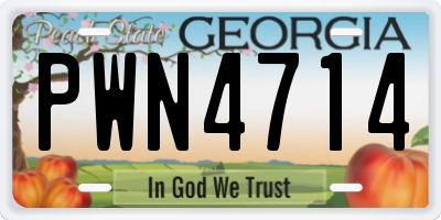GA license plate PWN4714
