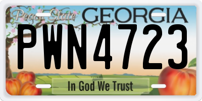 GA license plate PWN4723