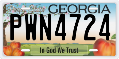 GA license plate PWN4724